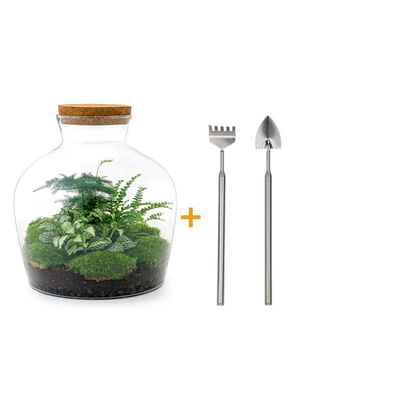 Flaschengarten DIY Set Fat Joe - Grünes Terrarium mit Pflanzen und Zubehör - 30 cm ho