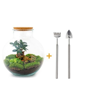 Flaschengarten Bolder Bob Bonsai - DIY Terrarium Set mit Rake und Schaufel - Ø 31 cm,