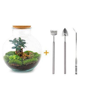 Flaschengarten-Set Bolder Bob Bonsai mit Rake, Shovel und Tweezer - DIY Mini-Ökosyste