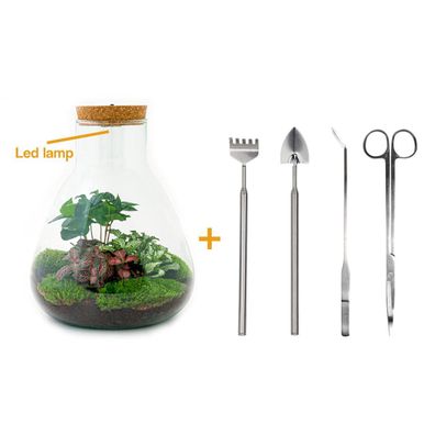 Flaschengarten - Sam mit Lampe - ? 30 cm - Rake + Shovel + Tweezer + Scissors