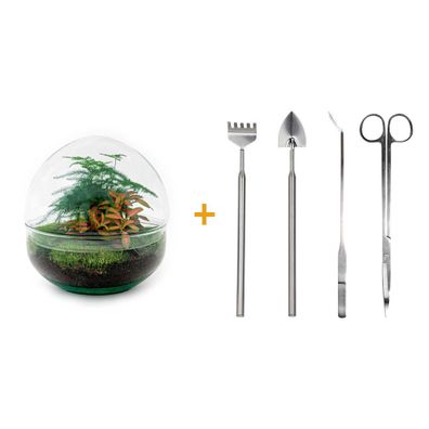 Do-It-Yourself Flaschengarten Set - Dome Rot Ø 20 cm mit Rake, Shovel, Tweezer und Sc