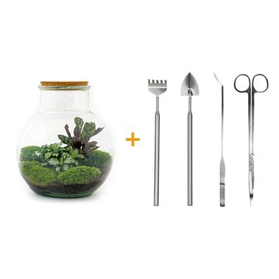 Flaschengarten DIY-Set - 26,5 cm hoch mit Rake, Schaufel, Pinzette und Schere für Pfl