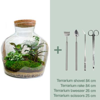 Flaschengarten - DIY Set mit Kork, Pflanzen, Erde, Dekoration und Pflegetipps - 30 cm