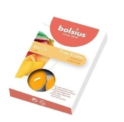 Bolsius Mango Wachswärmer, 6er Pack - Premium Kerzenwärmer fér ein angenehmes Aroma