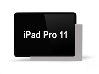 TabLines TWP003S Wandhalterung für iPad Pro 11 (1./2./3./4. Gen.) silber