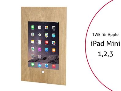 TabLines TWE026O Tablet Wandeinbau für Apple iPad Mini 1-2-3, DS, HB