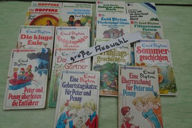 Enid Blyton TB Heyne Goldmann Schneider Flitzerum Eule Kuddelmuddels uva