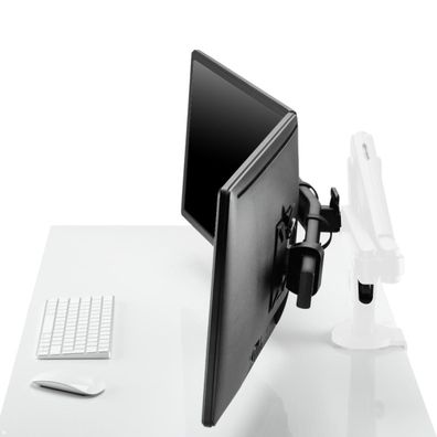 CBS Ollin Monitorhalterung für 2 Monitore mit Tischklemme, weiß