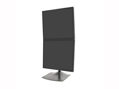 Ergotron DS100 Dual Monitor Ständer/Standfuß vertikal, schwarz (33-091-200)