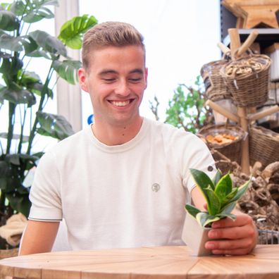 Congreetz® Pflanztöpfe mit Sansevieria | Ein persönliches grünes Geschenk zur Gratula