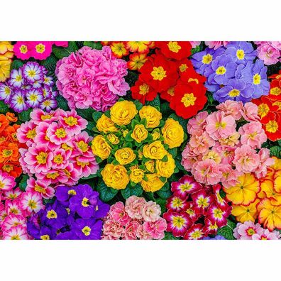 Wooden City Blooming Flowers L