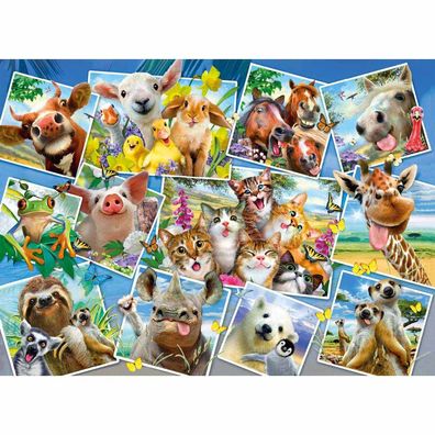 Wooden City Animal Postcards L