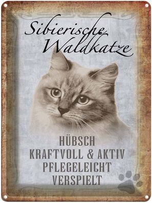 vianmo Blechschild 30x40cm Sibirische Waldkatze Katze Wandschild Deko Geschenk