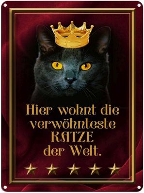 vianmo Blechschild 30x40cm Hier Wohnt Katze Der Welt Deko Geschenk