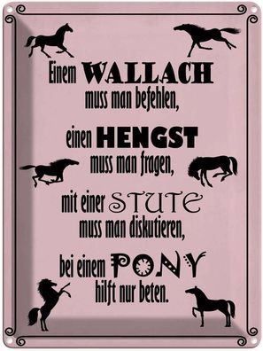 vianmo Blechschild 30x40cm Pferde Wallah Hengst Pony Stute Deko Geschenk