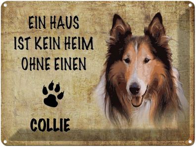 vianmo Blechschild 40x30cm Collie Hund Deko Geschenk