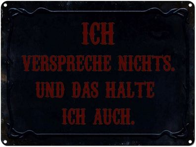 vianmo Blechschild 40x30cm Verspreche Nichts Das Halte Auch Deko Geschenk