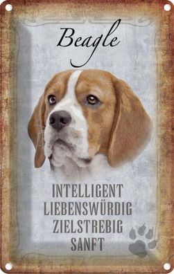 vianmo Blechschild 12x18cm Beagle Hund Deko Geschenk