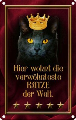 vianmo Blechschild 12x18cm Hier Wohnt Katze Der Welt Deko Geschenk