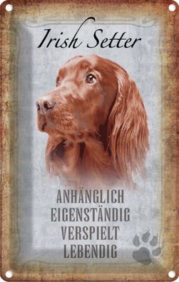 vianmo Blechschild 20x30cm Irish Setter Hund Deko Geschenk