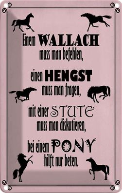 vianmo Blechschild 12x18cm Pferde Wallah Hengst Pony Stute Deko Geschenk