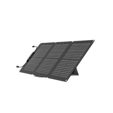 EcoFlow 60 W Tragbares Solarpanel