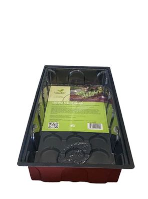 3 x Mini Gewächshaus Klimahaube Anzuchthaube Anzuchttöpfe Treibhaus 39x19x5,8 cm