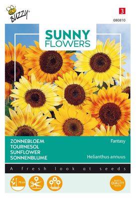 Sonnige Blumen Sonnenblume Music Box Buzzy