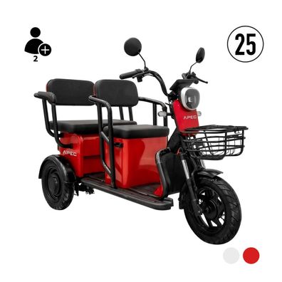 3-RAD Seniorenmobil APM5 25 KM/H