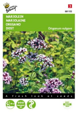 Saatgut Majoran Oregano Buzzy