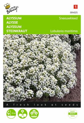 Saatgut Alyssum Snowblade Buzzy