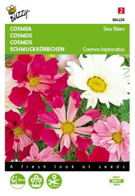 Saatgut Cosmos Cosmea Sea Stars gemischt Buzzy