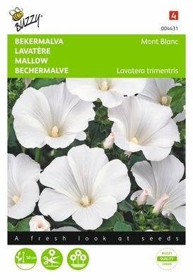 Saatgut Lavatera bekermalva Mont Blanc Buzzy