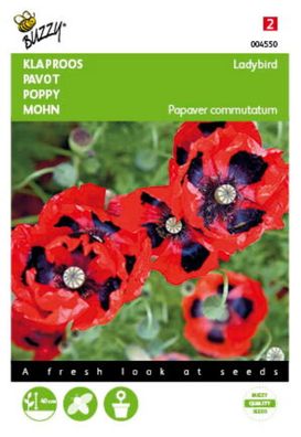 Samen Papaver Poppy Lady Bird Buzzy