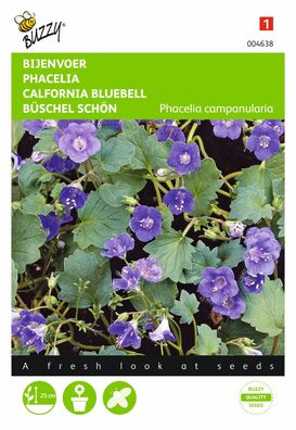 Saatgut Phacelia Bienenfutter Buzzy