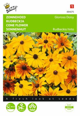 Samen Rudbeckia Sonnenblume Gloriosa Gänseblümchen Buzzy