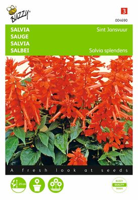 Samen Salvia fire salad Buzzy