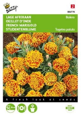 Saatgut Tagetes lowland African Bolero Buzzy