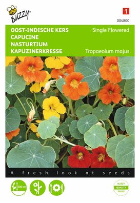 Samen Tropaeolum nasturtium einfachblütig gemischt Buzzy