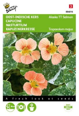 Saatgut Tropaeolum nasturtium Alaska TT Salmon Buzzy