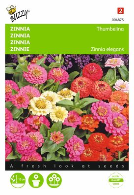 Saatgut Zinnia Thumbelina gemischt Buzzy