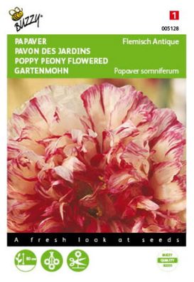 Saatgut Papaver Dornröschen Flämisch Antik Buzzy