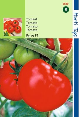 Saatgut Tomaten Pyros F1 Hortitops