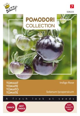 Pomodori Indigo rose (Schwarz) Samen Buzzy