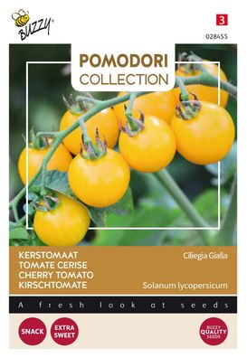 Saatgut Pomodori Ciliegia Gialla Buzzy