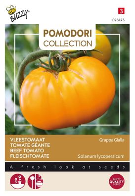 Saatgut Pomodori Grappa Gialla Buzzy