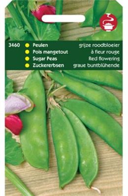 Samen Rotblumen Schoten 100g Tuinplus