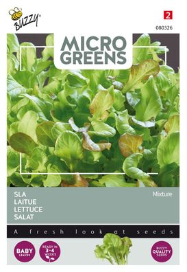 Saatgut Microgreens Kopfsalat gemischt Buzzy