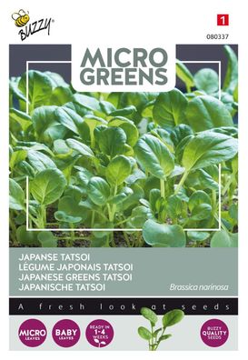 Saatgut Microgreens Tatsoi Buzzy