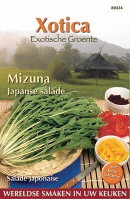 Saatgut Xotica Mizuna Japanischer Salat Buzzy